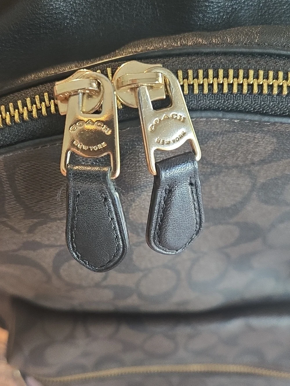 EUC Coach Signature Charley Small Leather Multi/Brown Backpack